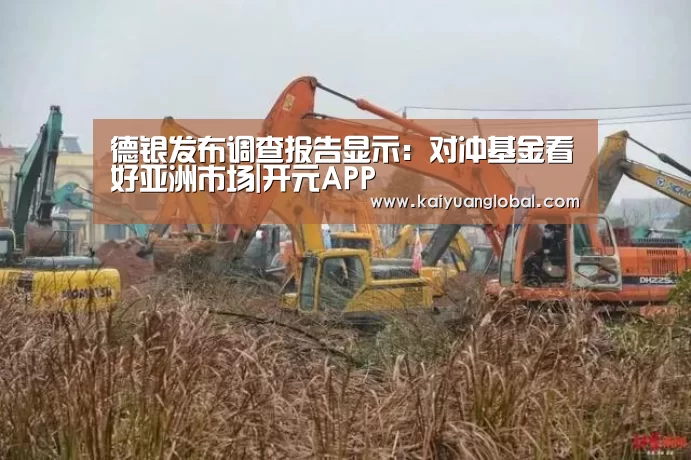 德银发布调查报告显示:对冲基金看好亚洲市场|开元APP(图4) 开元娱乐