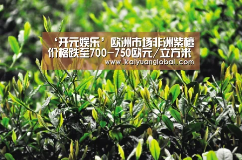 ‘开元娱乐’欧洲市场非洲紫檀价格跌至700-750欧元/立方米(图2) 开元平台