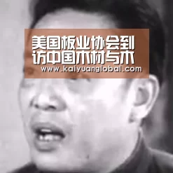 美国板业协会到访中国木材与木制品流通协会_开元平台(图4) 开元平台