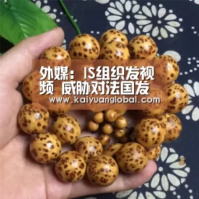 外媒:IS组织发视频 威胁对法国发动更多的袭击“开元娱乐”(图1) 开元APP