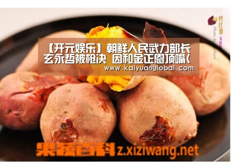 【开元娱乐】朝鲜人民武力部长玄永哲被枪决 因和金正恩顶嘴(图/简历)(图2) 开元官网