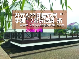开元APP|印度农民“手撕”2米长活蟒 挤出被吞山羊(组图)(图1) 开元官网